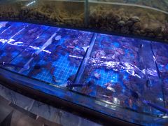 -海韵之星邮轮水会(明发商业广场店)