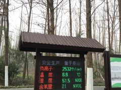 -合肥滨湖国家森林公园