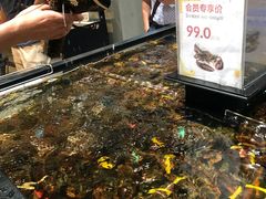 -盒马鲜生(皇庭广场店)