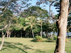 -深圳湾公园(南山区)