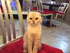 Mikaku-MIKAKU(万达广场上海宝山店)