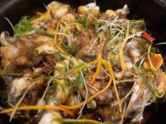 -金龙寨(解西店)