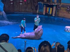 -烟台海昌鲸鲨海洋公园