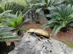 -深圳仙湖植物园