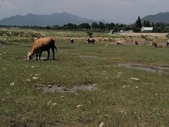 -十三陵水库