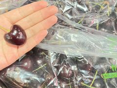 -西郊国际农产品交易中心