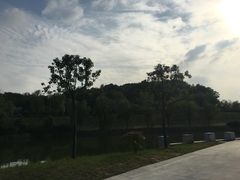 -狮麟驾校