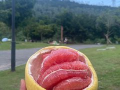 -马峦山郊野公园