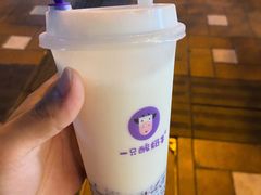 -一只酸奶牛(八一路店)
