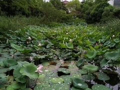 -上海怡沁园度假酒店