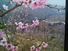 -白沙门生态公园