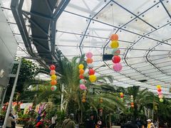 -北京植物园-展览温室