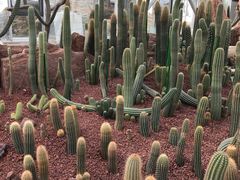 -南通洲际绿博园