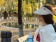 -艾溪湖湿地公园