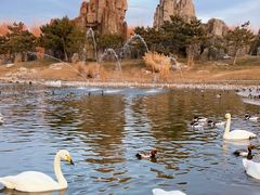 -北京野生动物园