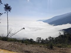 -云南屏边大围山国家公园