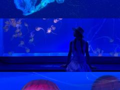 -海合安武汉极地海洋公园