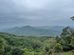 -黄埔油麻山森林公园