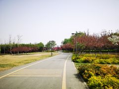 -西安浐灞国家湿地公园
