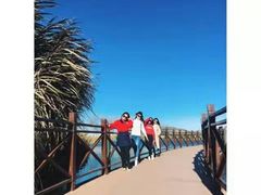 -呈贡滇池生态湿地公园