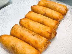-丁老爷子苏香圆