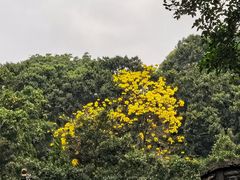 -广州市白云山风景名胜区