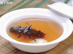 虫草炖海参-鹊华居·地道鲁菜·海鲜·融合味(大明湖店)