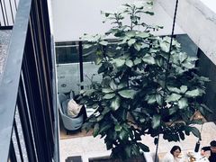 -大树餐厅(红旗街万达店)