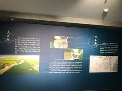 -安阳博物馆