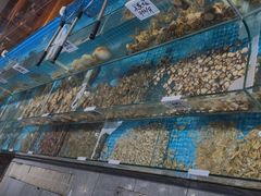 -晓伟海鲜家常菜