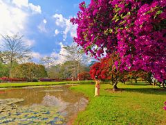 -中国科学院西双版纳热带植物园