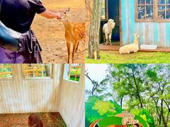 -南戴河国际娱乐中心