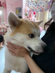 -JX今喜美甲美睫