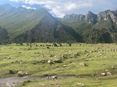 景点-祁连山草原