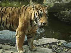 -北京野生动物园