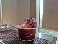 哈根达斯雪糕-铭门盛宴艺术海鲜姿造(珠江新城店)