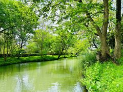 -西溪国家湿地公园