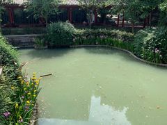 -龙潭水乡