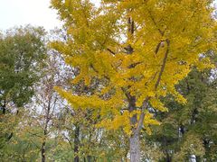 -昆山城市生态森林公园