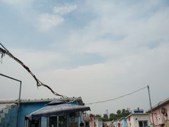 -大自然农场蔬菜草莓采摘园