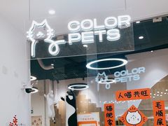 -COLOR PETS 撸猫馆·购猫·猫咖(长风大悦城店)