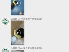 -派美特宠物医院·核磁CT·骨科肿瘤·疑难转诊(沈农禾丰店)