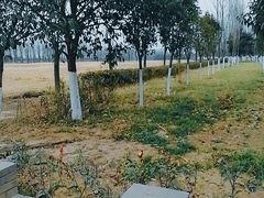 -汉长安城未央宫国家考古遗址公园