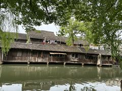 -乌镇东栅景区