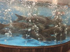 -梁家大院•农家菜(昆山会展中心店)