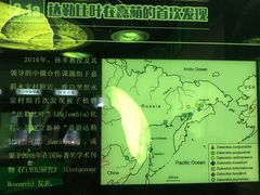 -嘉荫恐龙国家地质公园