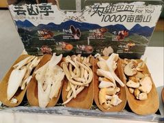 -芸山季·云南山珍菌火锅(南翔印象城MEGA店)