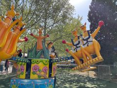 -朝阳公园游乐园