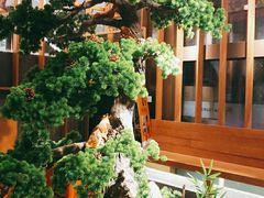 -松子料理(亮马桥店)