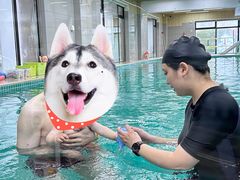 -BlueBubble蓝泡泡婴幼儿游泳会所(合川路店)